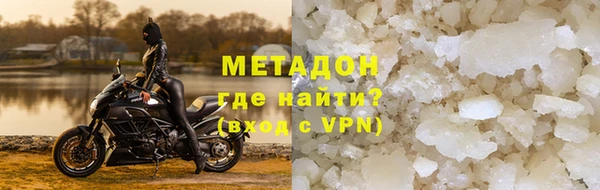 прущие грибы Коряжма