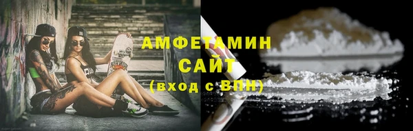 прущие грибы Коряжма