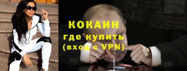 прущие грибы Коряжма