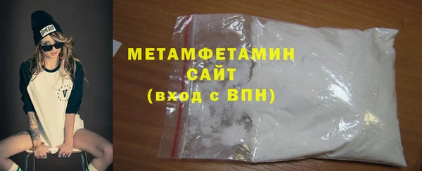 прущие грибы Коряжма