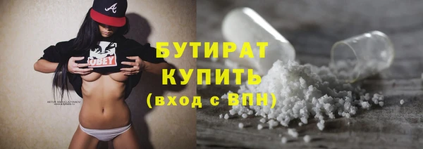 прущие грибы Коряжма