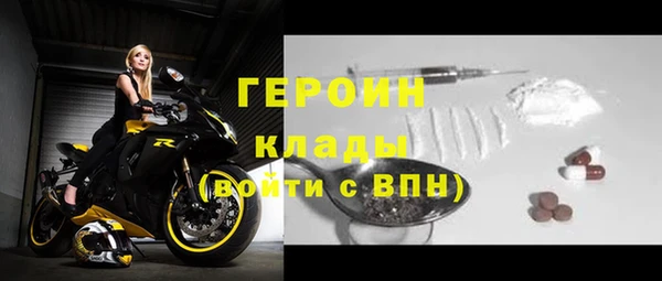 прущие грибы Коряжма