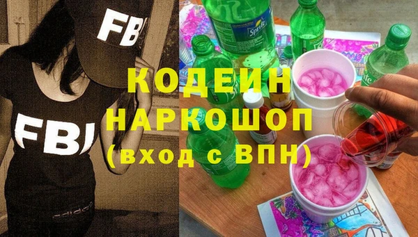 прущие грибы Коряжма