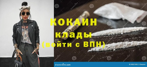 прущие грибы Коряжма